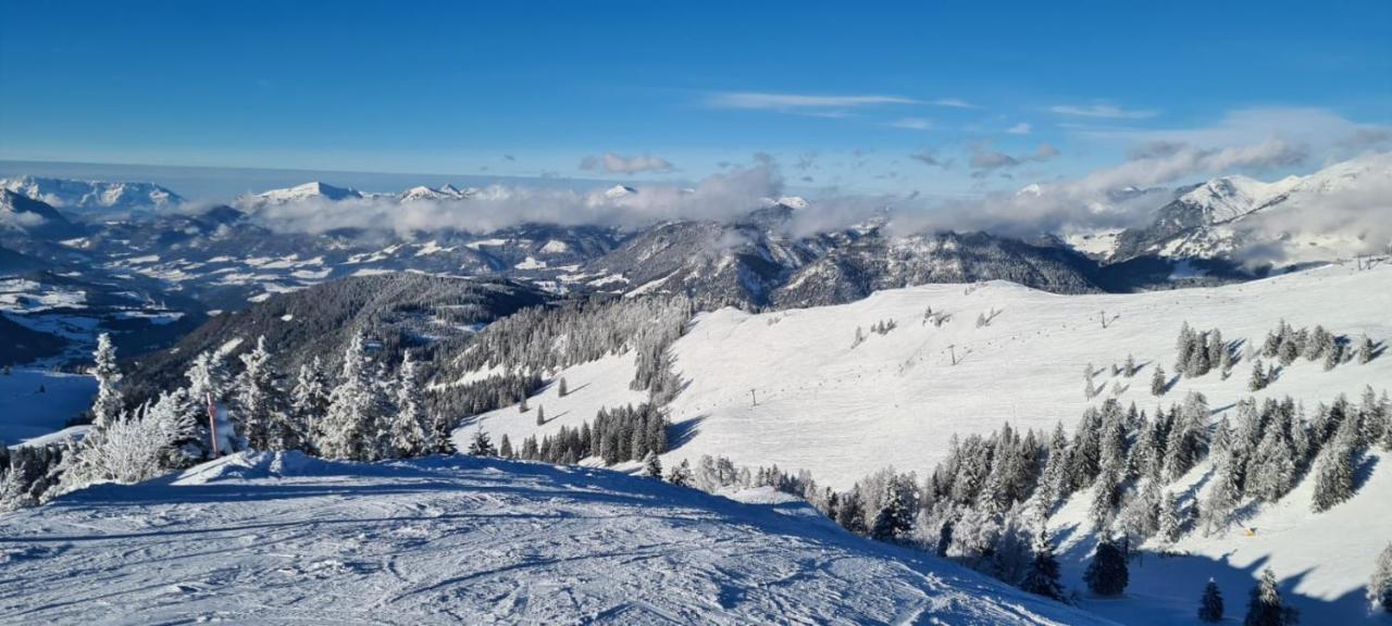 Apartmán Alpenhaus Donnerkogel Annaberg im Lammertal Exteriér fotografie