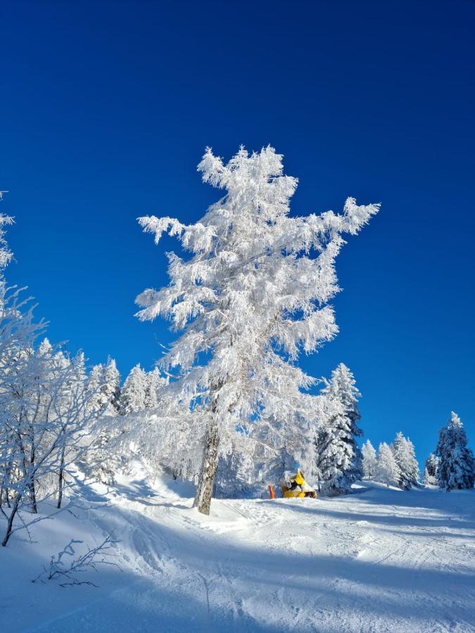 Apartmán Alpenhaus Donnerkogel Annaberg im Lammertal Exteriér fotografie